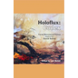 Holoflux: Codex: Form/Movement/Vision (Inspired by David Bohm) - Paperback