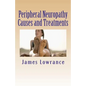 Peripheral Neuropathy Causes and Treatments: Conditions of Nerve Pain and Dysfunction - Paperback