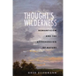 Thought's Wilderness: Romanticism and the Apprehension of Nature - Hardcover