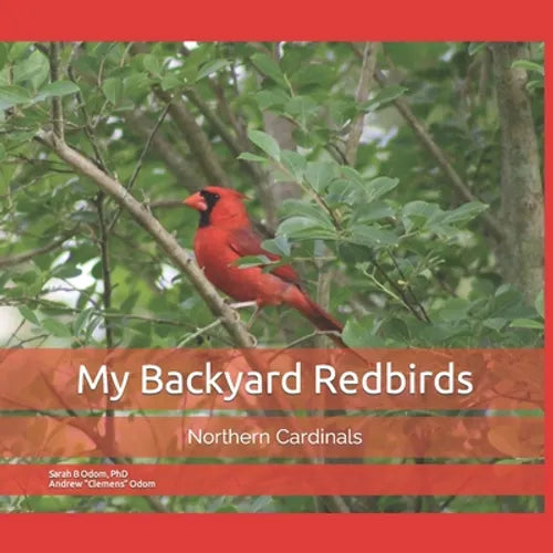 My Backyard Redbirds: Northern Cardinals - Paperback