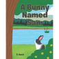A Bunny Named Sam - Paperback