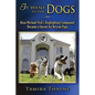 It Went to the Dogs: How Michael Vick's Dogfighting Compound Became a Haven for Rescue Pups - Paperback