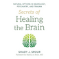 Secrets of Healing the Brain - Hardcover