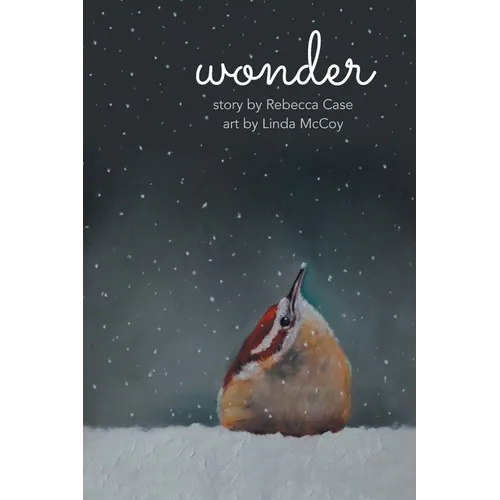 Wonder - Paperback