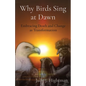 Why Birds Sing at Dawn: Embracing Death and Change as Transformation - Paperback