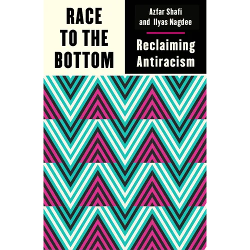 Race to the Bottom: Reclaiming Antiracism - Paperback