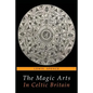 The Magic Arts in Celtic Britain - Paperback