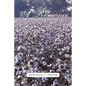 A Romance in the Cotton Field - Paperback