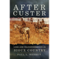 After Custer: Loss and Transformation in Sioux Country - Paperback