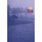 Coachella - Paperback