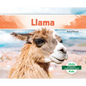 Llama (Spanish Version) - Library Binding