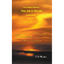 This Job is Murder - Paperback