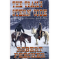 The Trail's Stern Code: A Western Frontier Adventure - Paperback