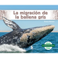 La Migración de la Ballena Gris (Gray Whale Migration) - Library Binding