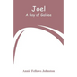 Joel: A Boy of Galilee - Paperback