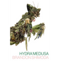 Hydra Medusa - Paperback