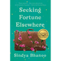 Seeking Fortune Elsewhere: Stories - Paperback