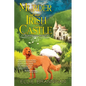 Murder at an Irish Castle - Paperback