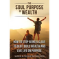 The Soul Purpose of Wealth: How to stop being a slave to debt, build wealth and live life on purpose - Paperback