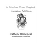 Baltimore Catechism Primer Copybook, Cursive Edition - Paperback