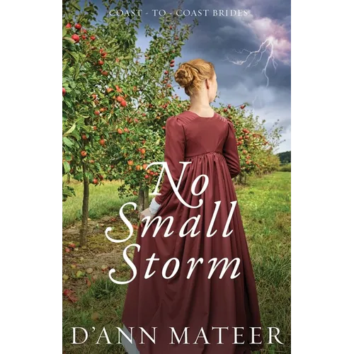No Small Storm - Paperback