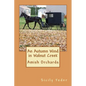 An Autumn Wind in Walnut Creek: Amish Orchards - Paperback