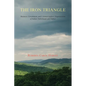 The Iron Triangle: Business, Government, and Colonial Settlers' Dispossession of Indian Timberlands and Timber - Paperback