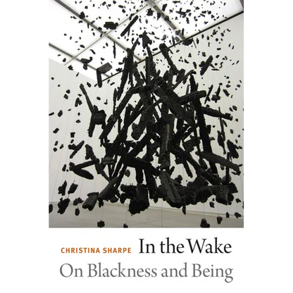 In the Wake: On Blackness and Being - Paperback