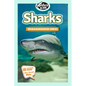 Sharks: Amazing Pictures & Fun Facts - Paperback