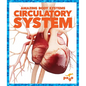 Circulatory System - Paperback