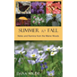 Summer to Fall - Paperback