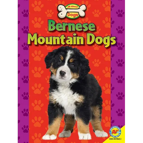 Bernese Mountain Dogs - Paperback