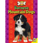 Bernese Mountain Dogs - Paperback