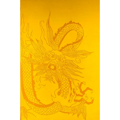 The Confucian Persuasion - Hardcover