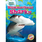 Hammerhead Sharks - Library Binding