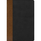 Rvr 1960 Biblia de Estudio Arcoiris, Tostado/Negro Símil Piel - Imitation Leather