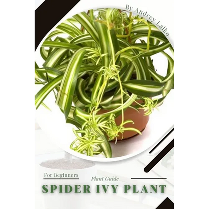 Spider Ivy Plant: Plant Guide - Paperback