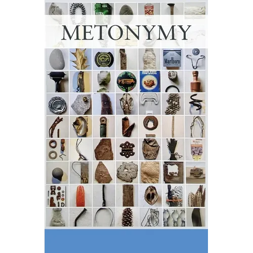 Metonymy: ... from the day books - Paperback
