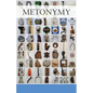 Metonymy: ... from the day books - Paperback