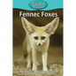 Fennec Foxes - Paperback