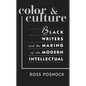 Color and Culture: Black Writers and the Making of the Modern Intellectual - Paperback