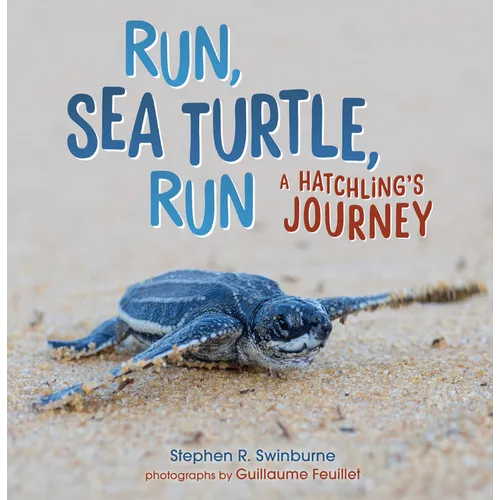 Run, Sea Turtle, Run: A Hatchling's Journey - Paperback
