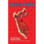 Paciencia Perdida, An Anthology of Peruvian Fiction - Paperback
