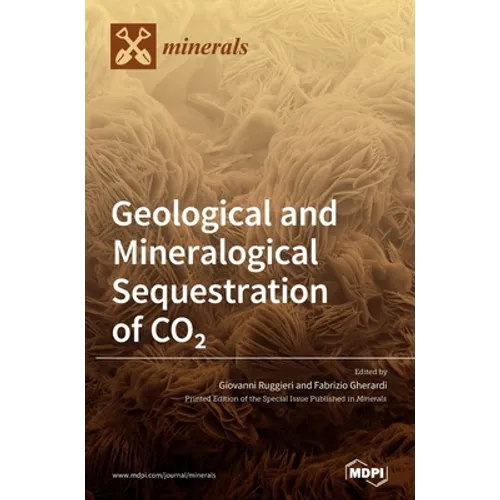 Geological and Mineralogical Sequestration of CO2 - Hardcover