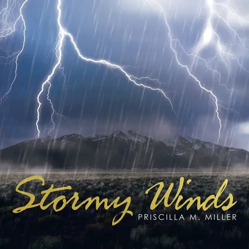Stormy Winds - Paperback