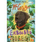 McGregor & The Embeebee Forest - Paperback