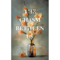 The Chasm Between Us - Paperback