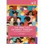 The Practice of Family Therapy: Key Elements Across Models - Paperback