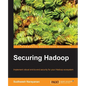 Securing Hadoop - Paperback