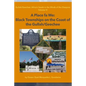 A Place Fa We: Gullah/Geechee: Africa's Seeds in the Winds of the Diaspora Volume 6 - Paperback